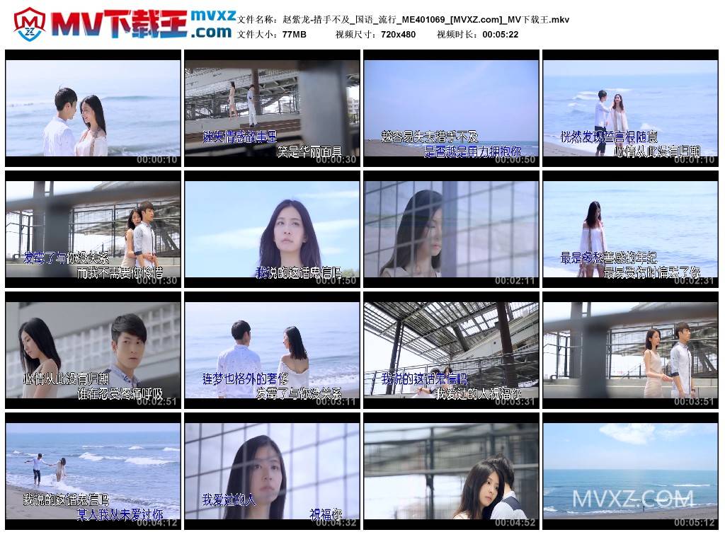 赵紫龙-措手不及_国语_流行_ME401069